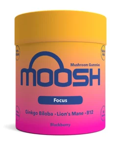 Mushroom Gummies