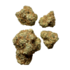 amnesia haze strains