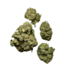 cheese weed